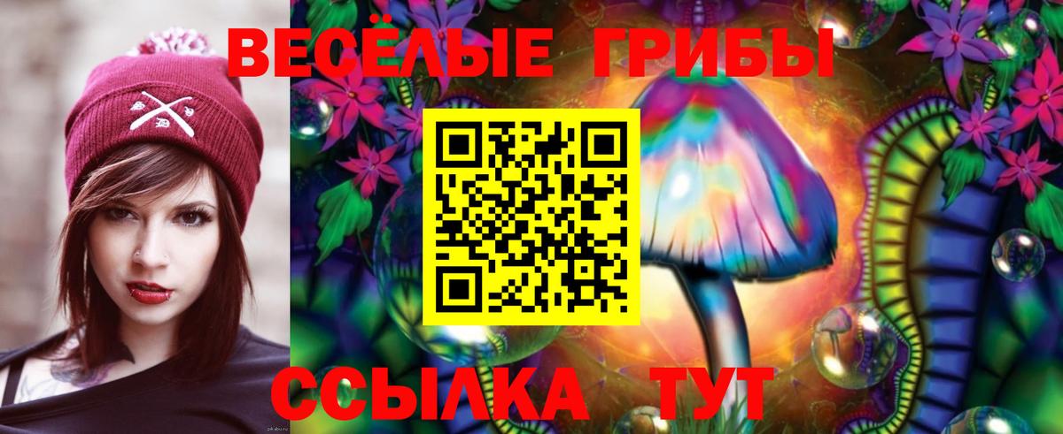 Рославль  Галлюциногенные грибы MAGIC MUSHROOMS  Вход с VPN 